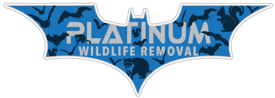Michigan City Wildlife Control